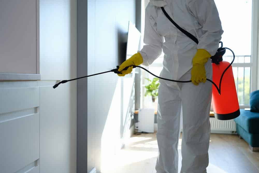Pest Control Inspection Tampa