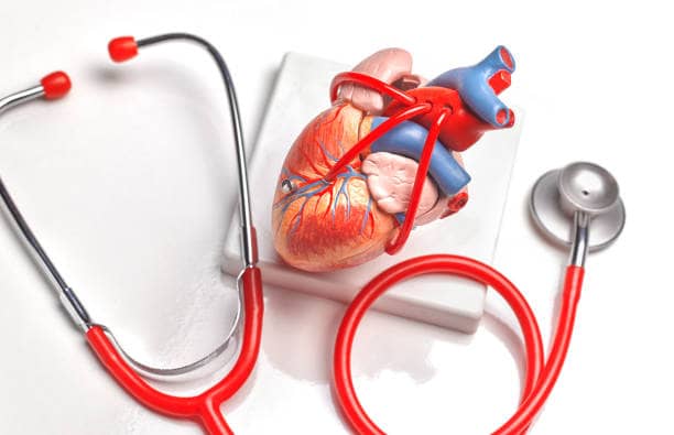 Does Cardiovascular Disease Impact Men's Health?