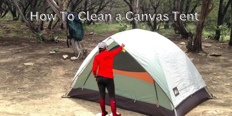Clean Canvas Tent